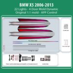 DIQ AMBIENT BMW X5 BM16D (Digital iQ Ambient Light for BMW X5 (E70) mod. 2006-2013 with 22 Lights, Dynamic)